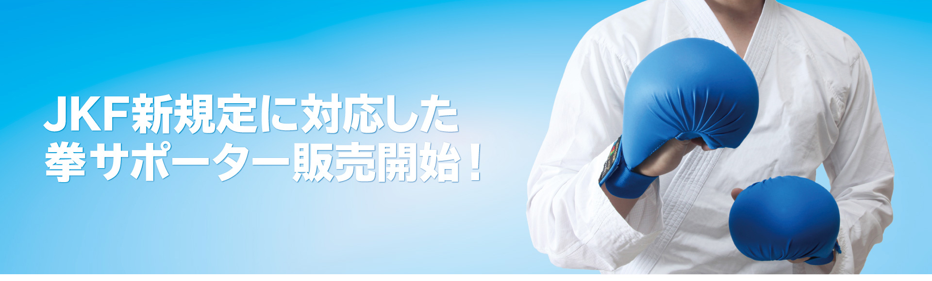 拳サポ商品ページ