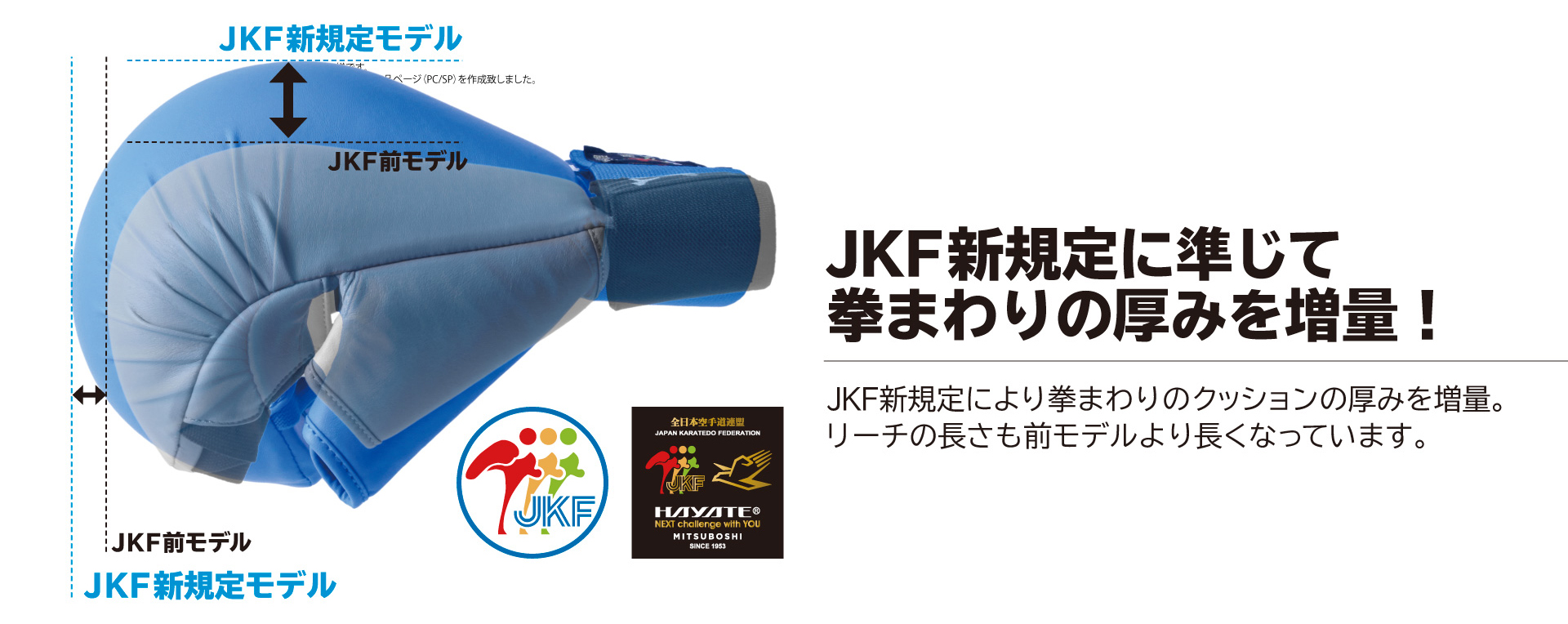 拳サポ商品ページ