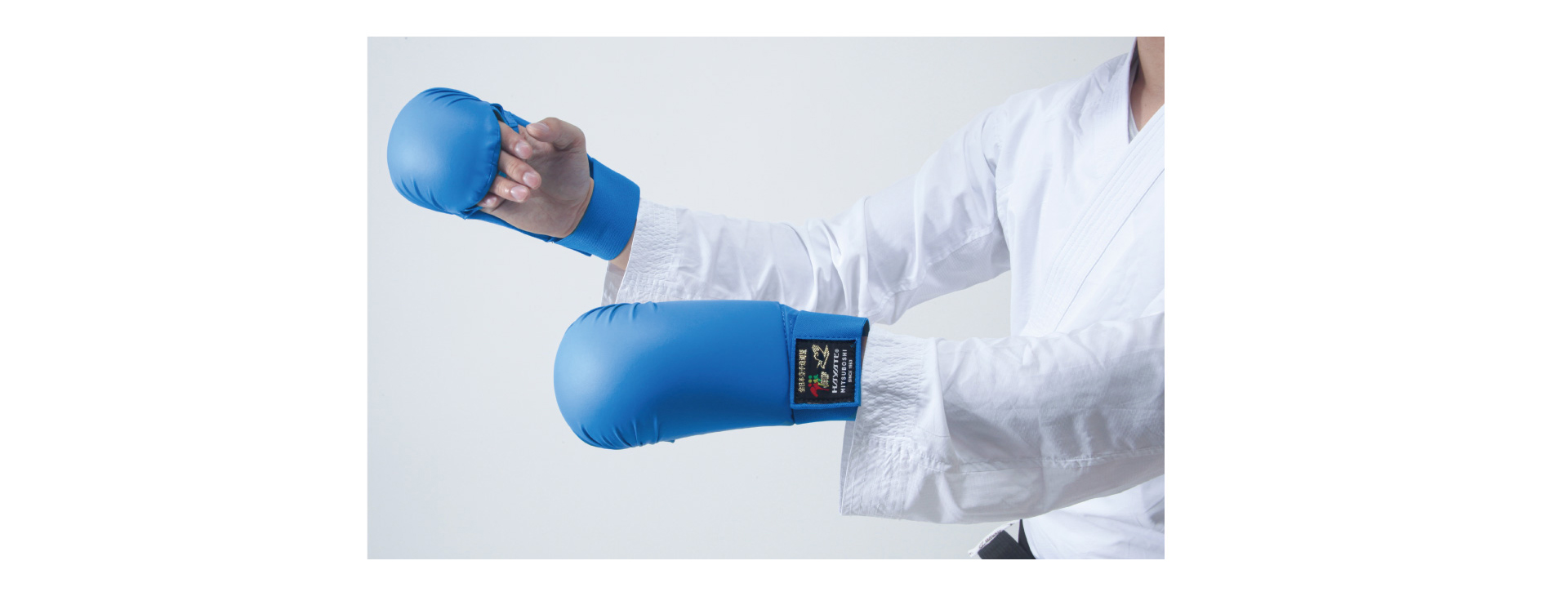 拳サポ商品ページ